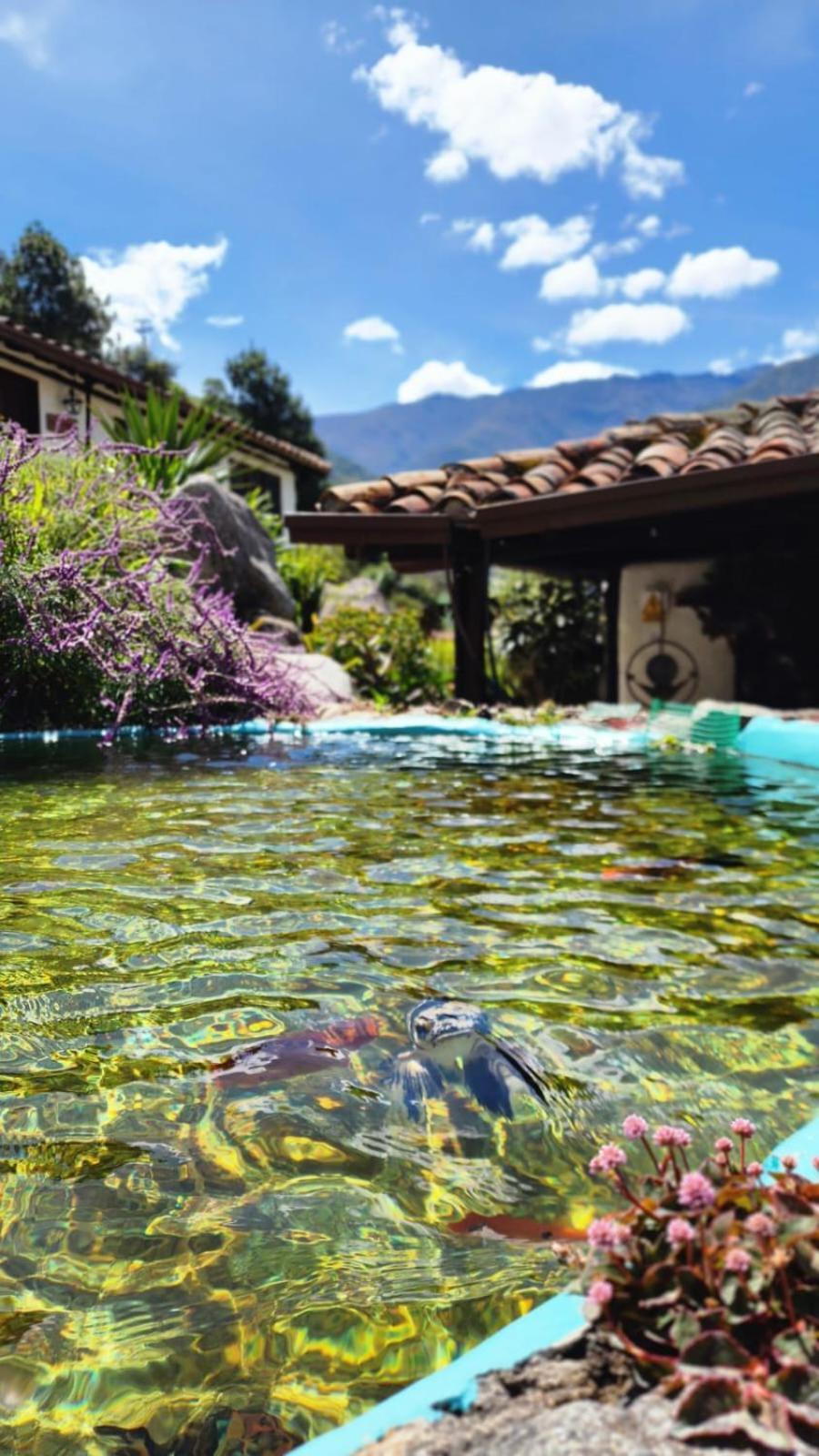Estancia La Canada Mérida Dış mekan fotoğraf